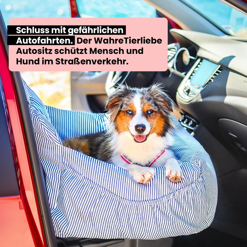 Hunde Autositz inkl. Sicherheitsgurt