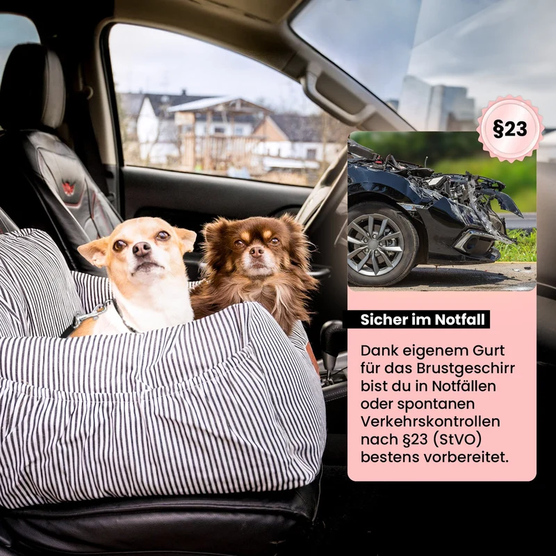 Hunde Autositz inkl. Sicherheitsgurt