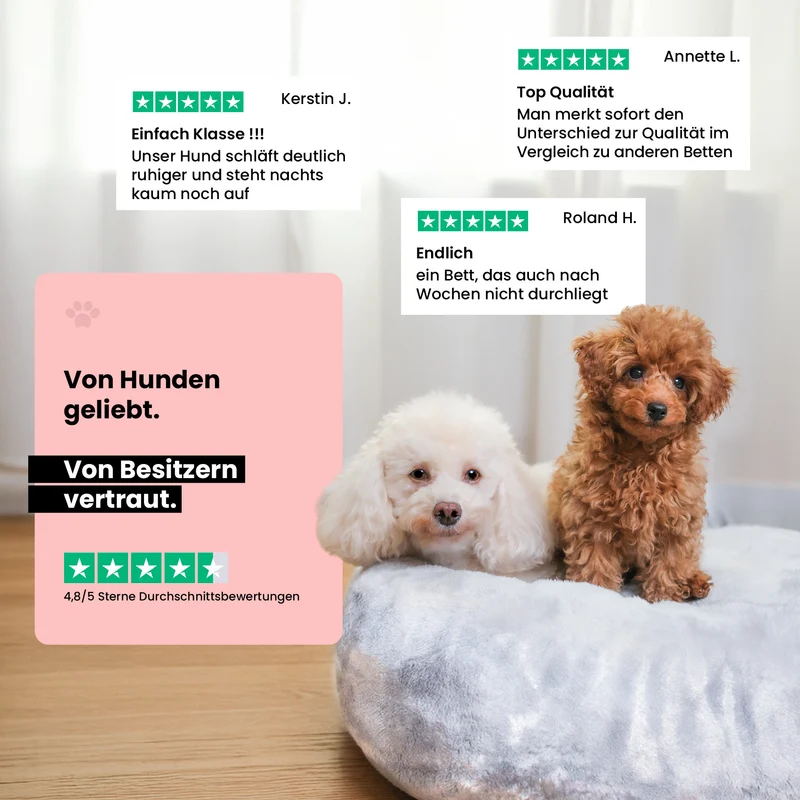Orthopädisches Hundebett Deluxe