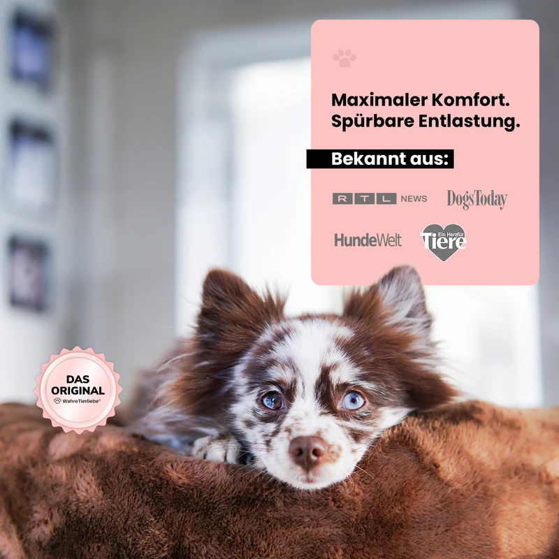 Orthopädisches Hundebett Deluxe
