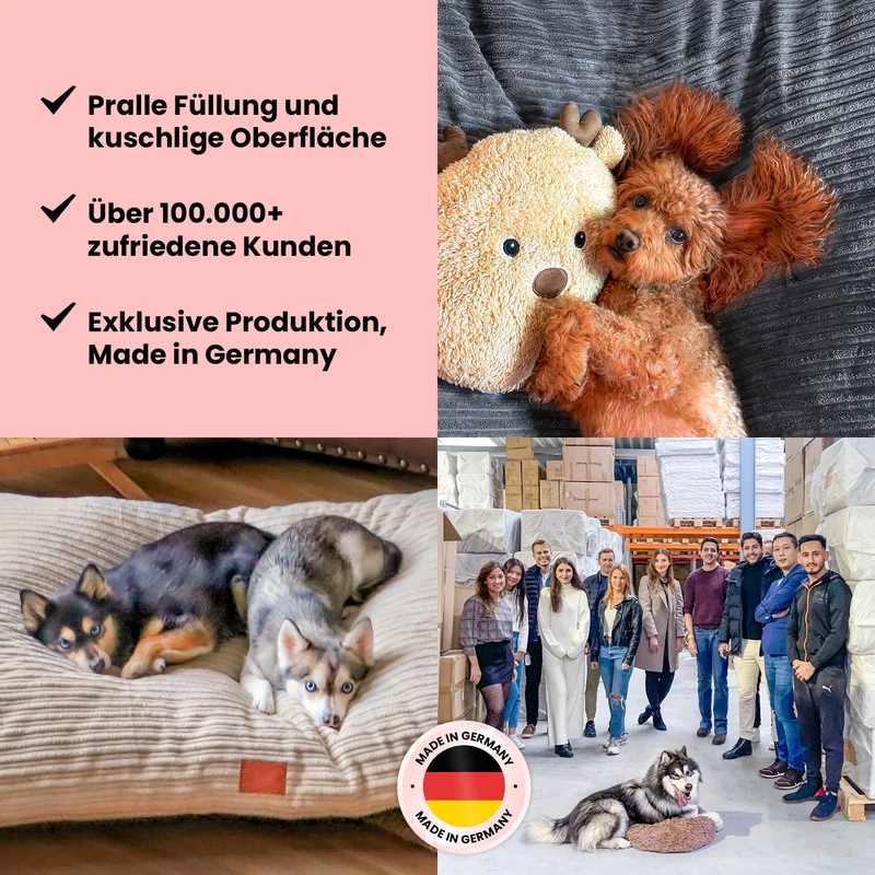 Premium Hundekissen "Cozy"