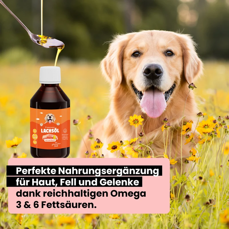 Premium Lachsöl