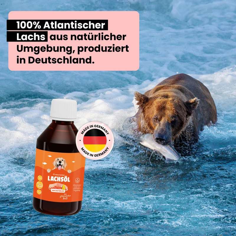 Premium Lachsöl
