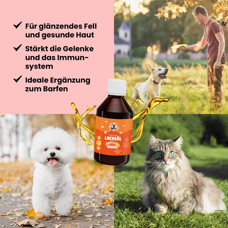 Premium Lachsöl