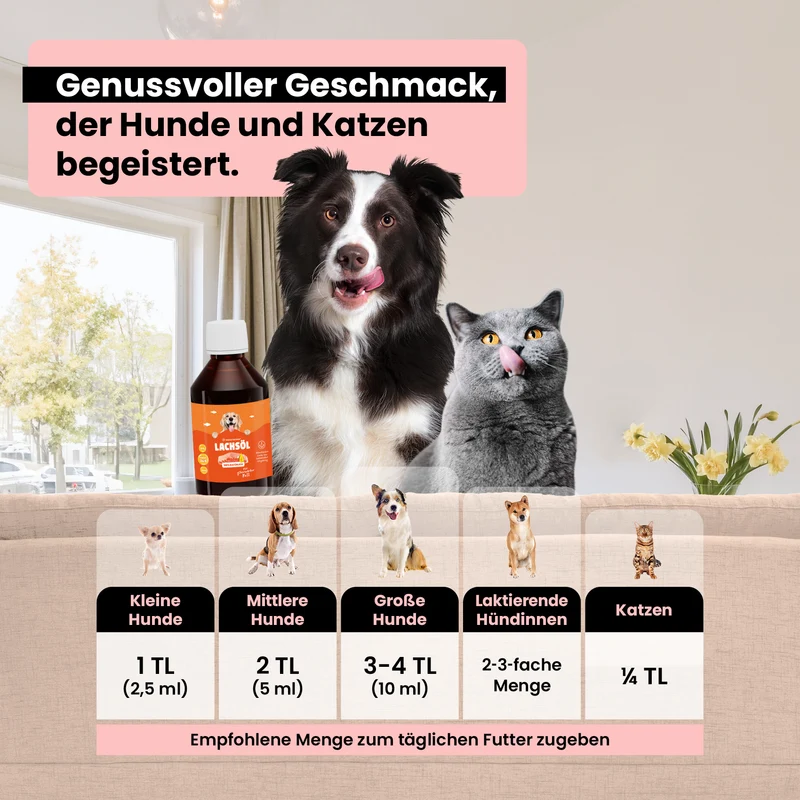 Premium Lachsöl