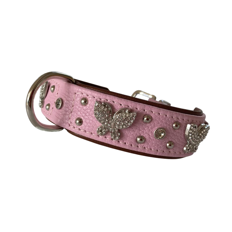 Hundehalsband Papillon Two - individuelle Farbgestaltung