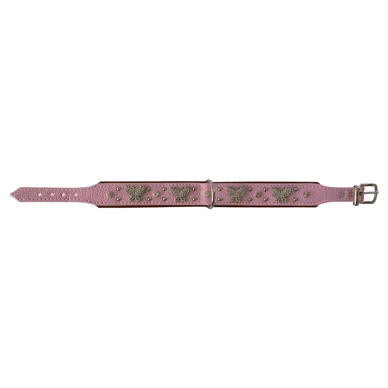 Hundehalsband Papillon Two - individuelle Farbgestaltung