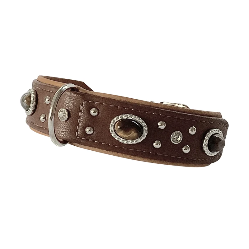 Ausstellungsstücke Hundehalsband Amici - Größen 45 , 50 und 53 cm