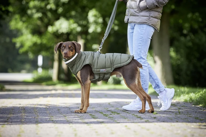 Wolters Steppjacke Cosy Taupe