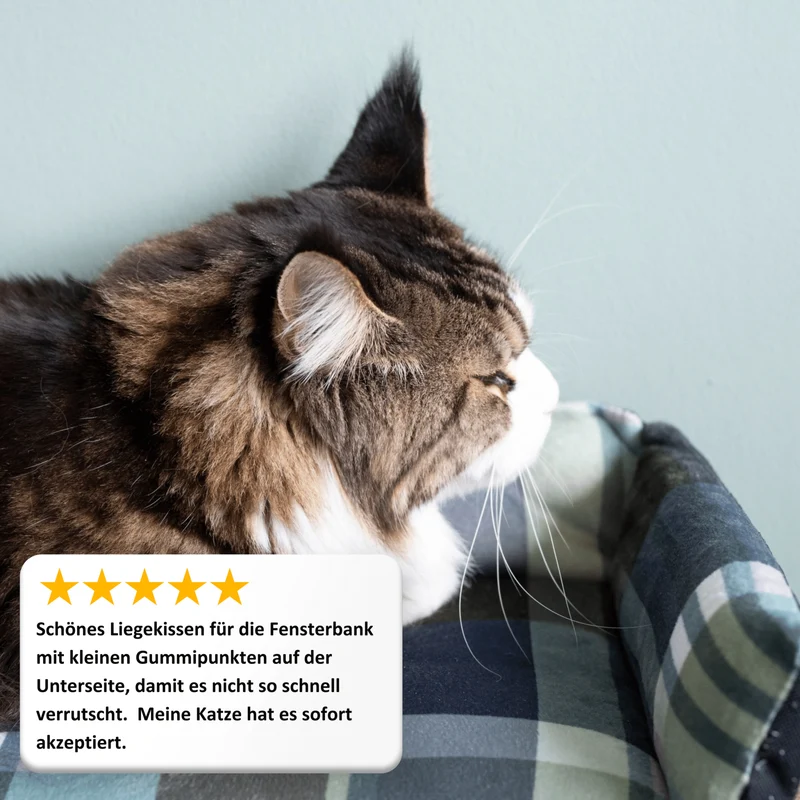 Katzenliege San Francisco "Frank"
