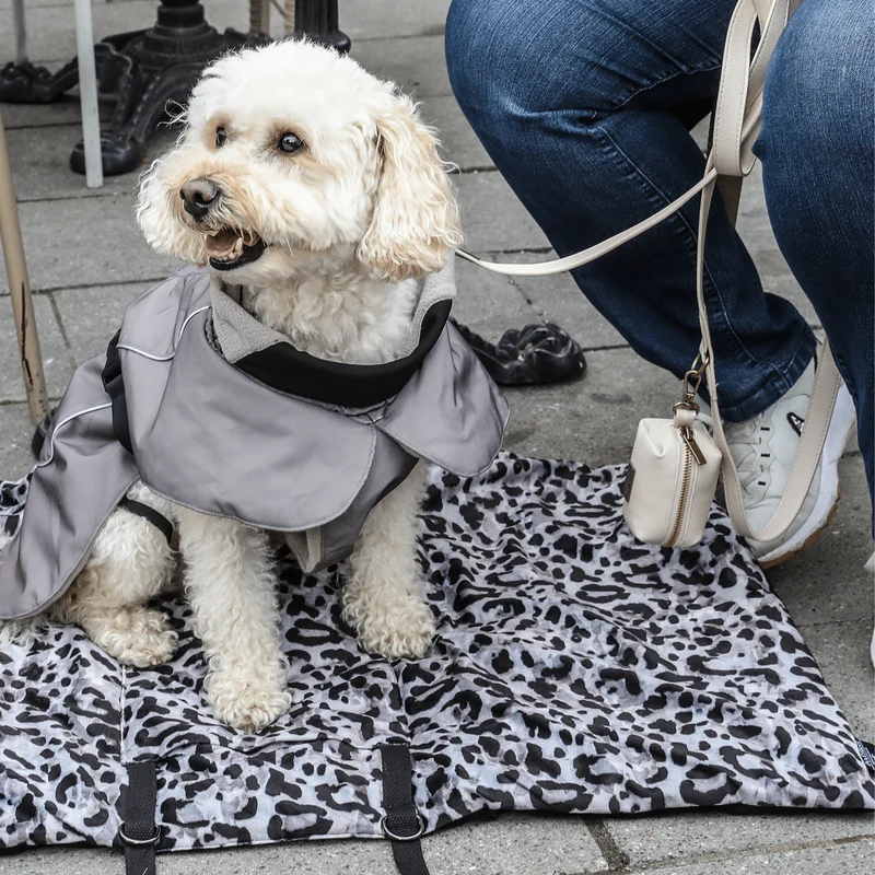 Hundedecke Savannah "Claudelle"