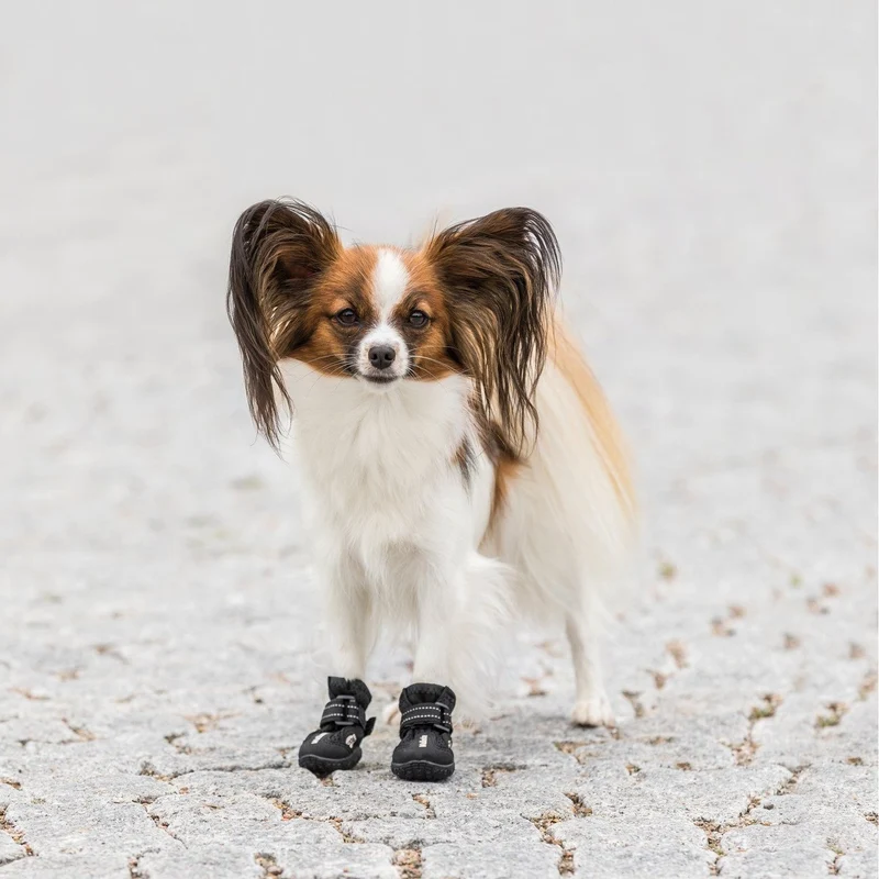 Hundeschuhe Pfotenschutz Walker Active