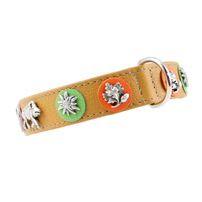 Hundehalsband Tracht - Jagd - Wildsau - individuelle Farbgestaltung