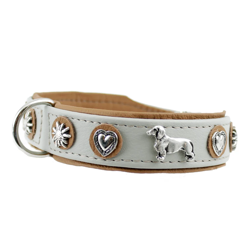 Hundehalsband - Lederhalsband Dackel / Teckel / Dachshund - individuelle Farbgestaltung