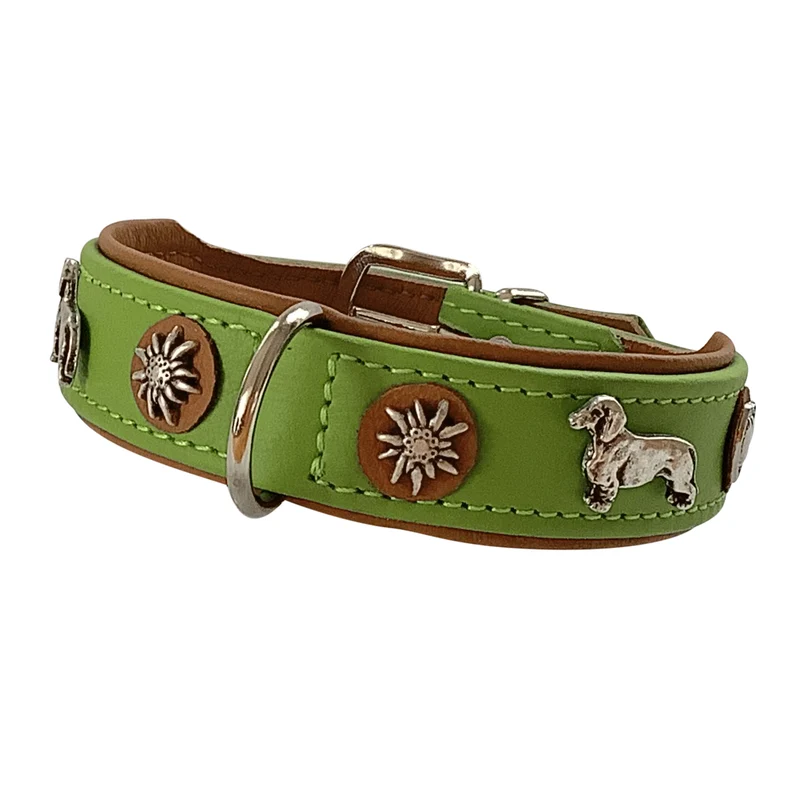 Hundehalsband - Lederhalsband Dackel / Teckel / Dachshund - individuelle Farbgestaltung