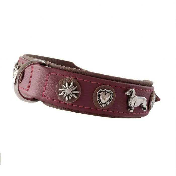 Hundehalsband - Lederhalsband Dackel / Teckel / Dachshund - individuelle Farbgestaltung