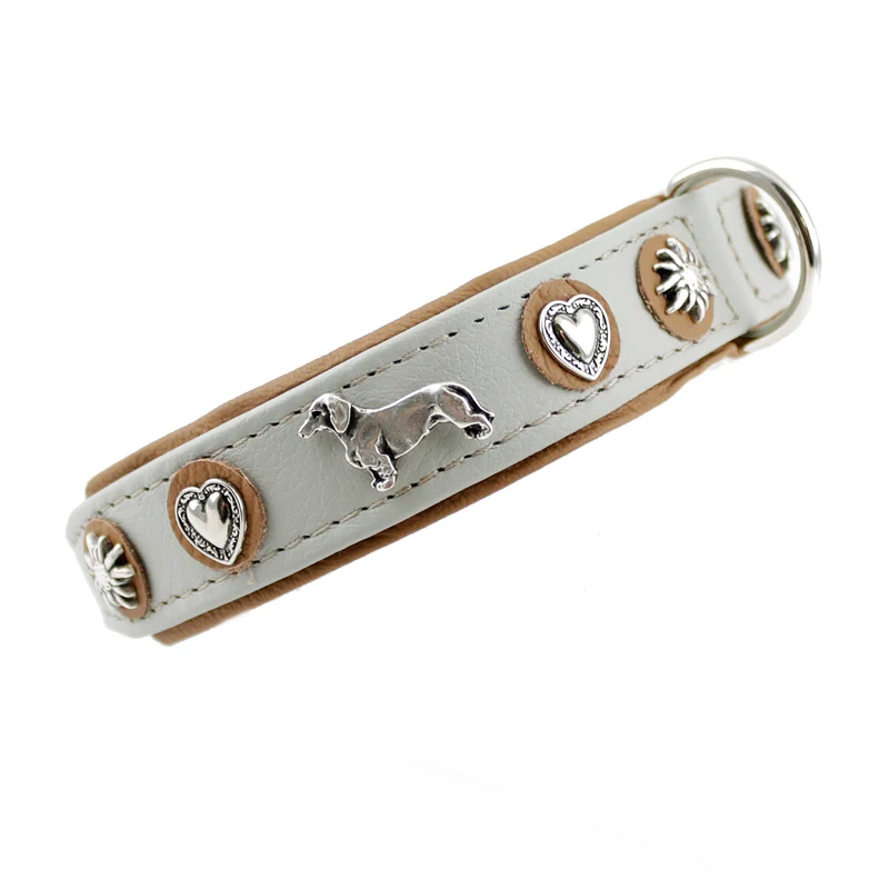 Hundehalsband - Lederhalsband Dackel / Teckel / Dachshund - individuelle Farbgestaltung