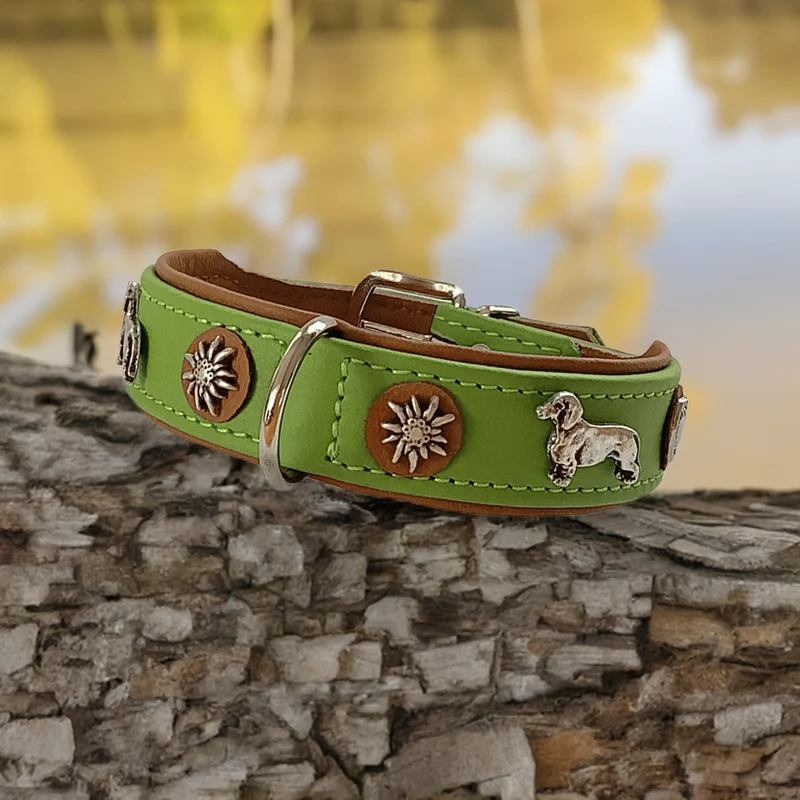Hundehalsband - Lederhalsband Dackel / Teckel / Dachshund - individuelle Farbgestaltung