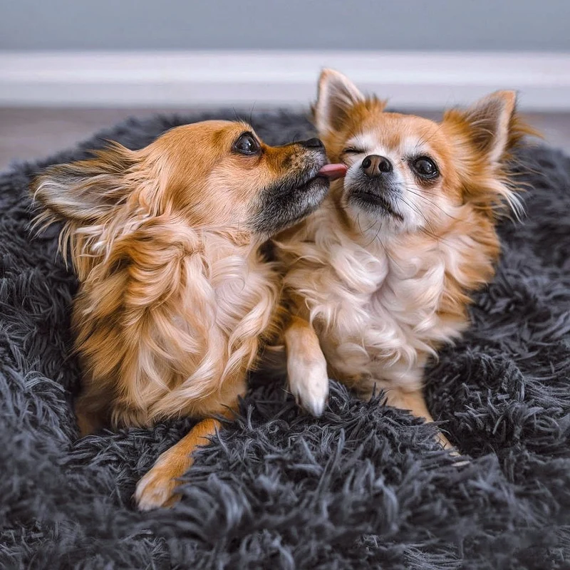 Hundebett Fluffy Plus - Das Original