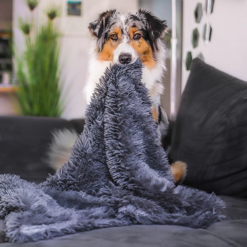 Premium Kuscheldecke "Fluffy"