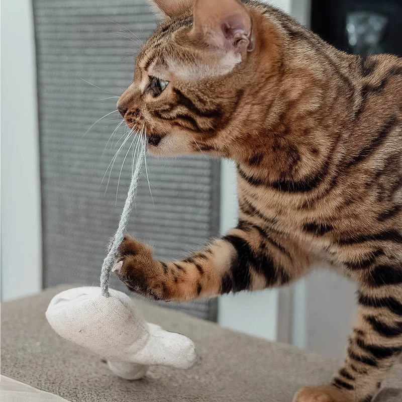 Ne&no® Katzenspielzeug mit Katzenminze -3er Set- inkl.Refill