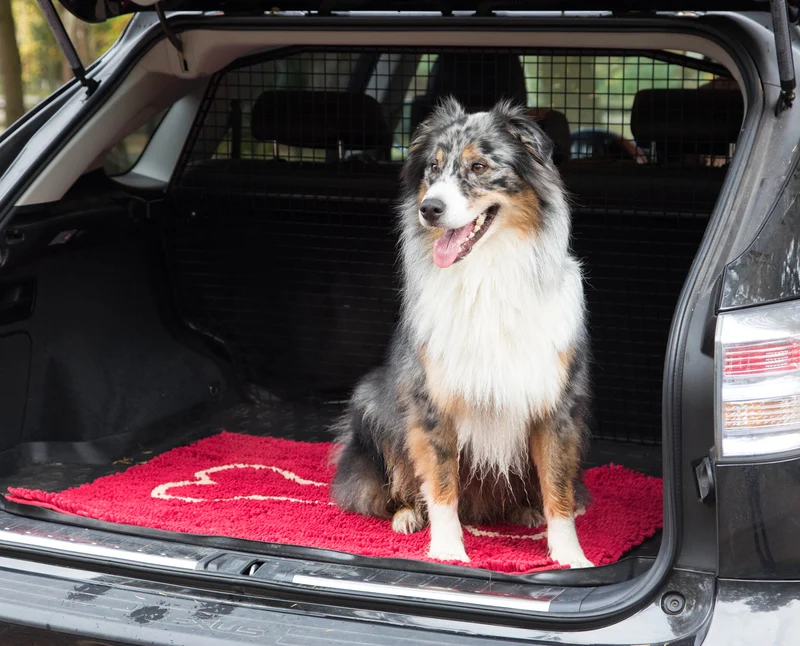 Wolters Dirty Dog Doormat - Knochenmotiv