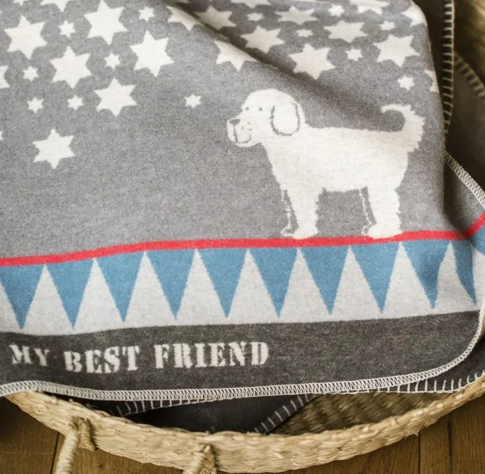 David Fussenegger - Haustierdecke Best Friend Weihnachten