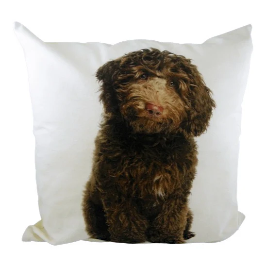 Dekokissen Labradoodle