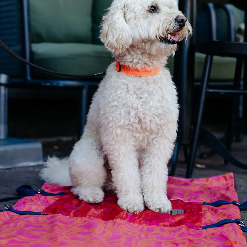 Hundedecke Savannah "Chouk"