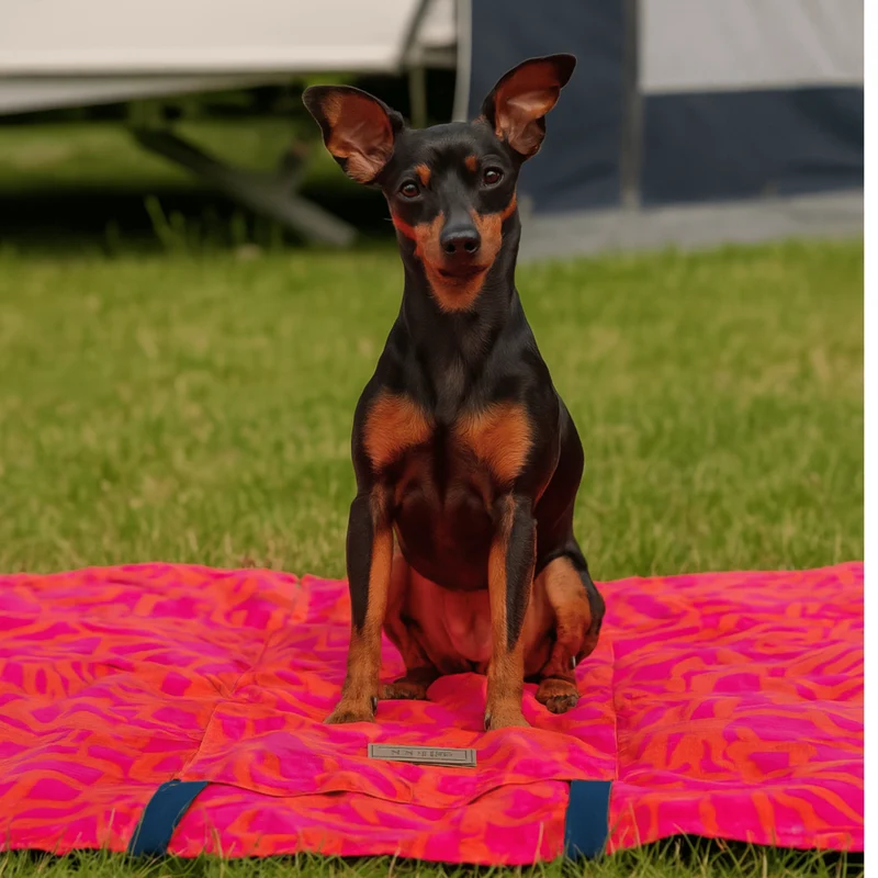 Hundedecke Savannah "Chouk"