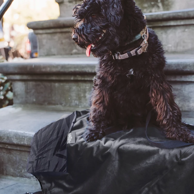 Hundedecke Savannah "Ilse"