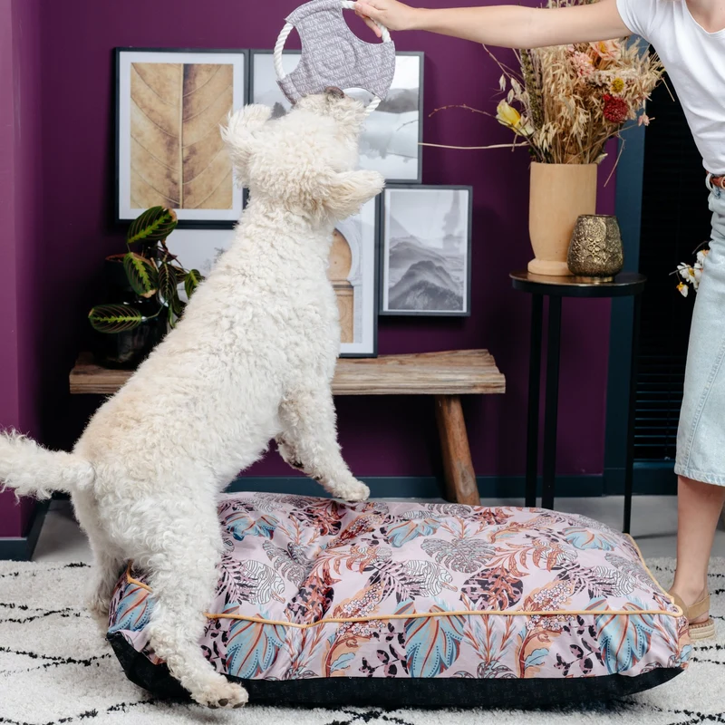 Hundekissen Madison "Erdem"