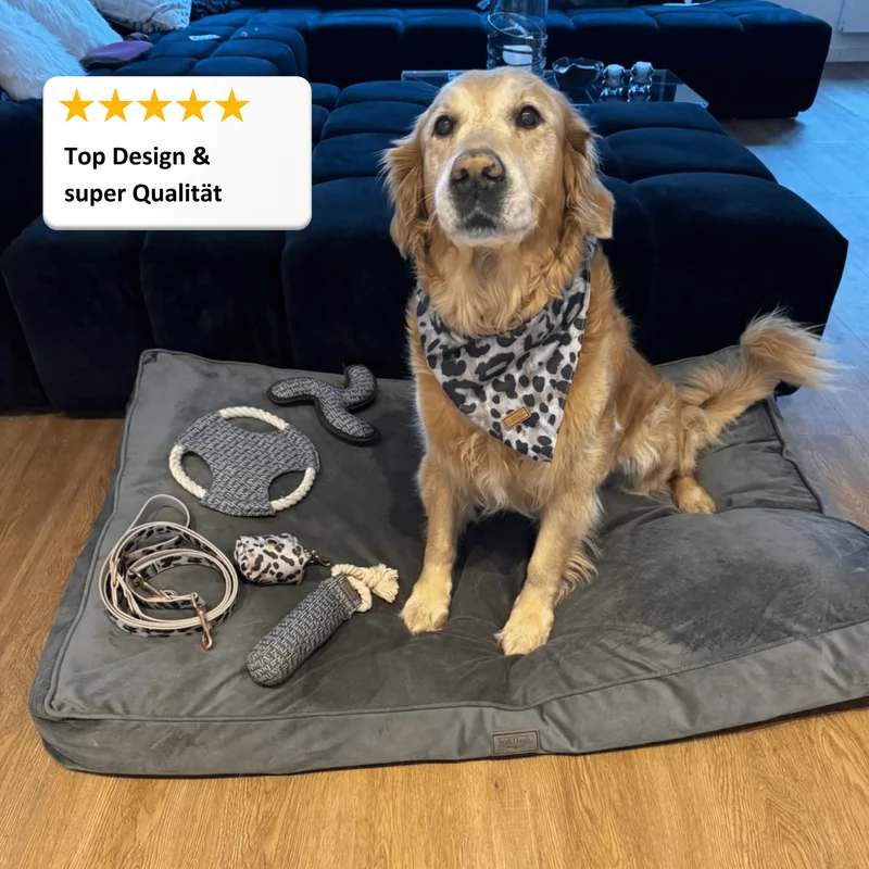 Hundekissen Madison "Frank"