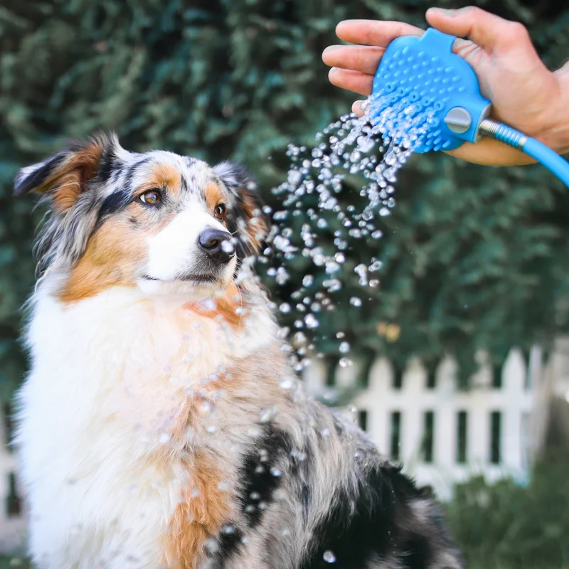 Hunde Duschbürste mit Schlauch