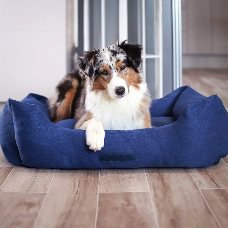 Orthopädische Hunde Couch