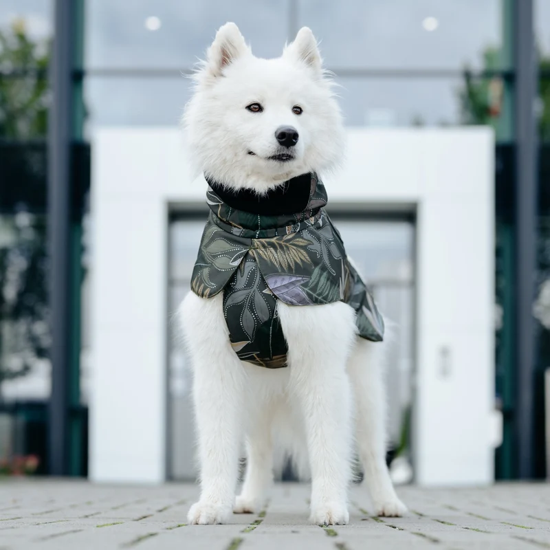 Wintermantel Seattle "Max"