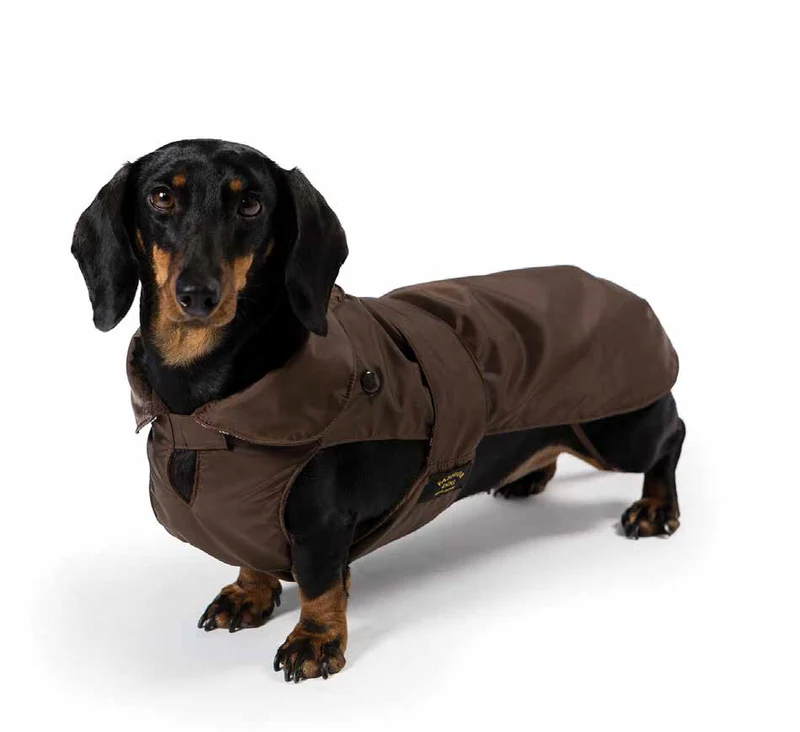 Regenmantel Dackel / Wintermantel Dackel / Hundemantel Dackel, Teckel, Dachshund