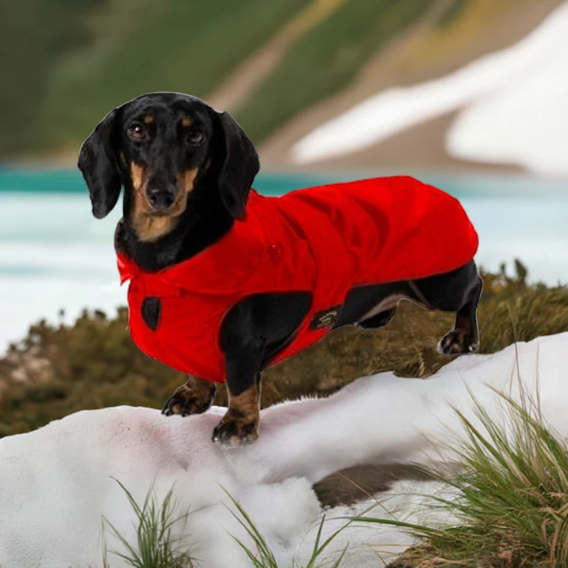Regenmantel Dackel / Wintermantel Dackel / Hundemantel Dackel, Teckel, Dachshund