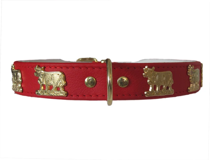 Hundehalsband Almauftrieb - individuelle Farbgestaltung
