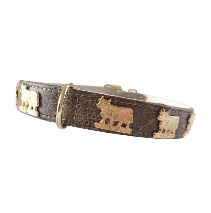 Hundehalsband Almauftrieb - individuelle Farbgestaltung