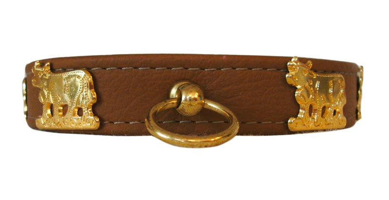 Hundehalsband Almauftrieb - individuelle Farbgestaltung