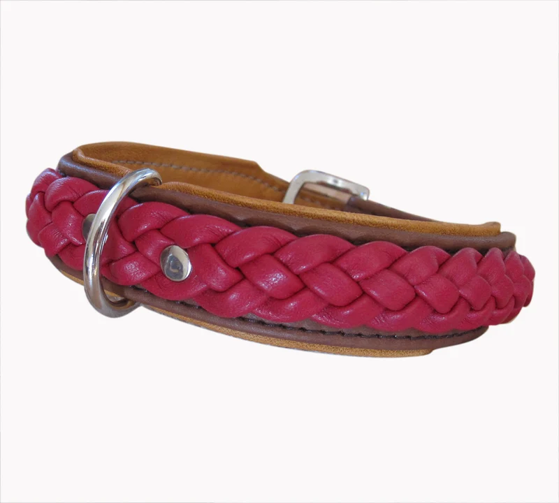 Hundehalsband Treccia