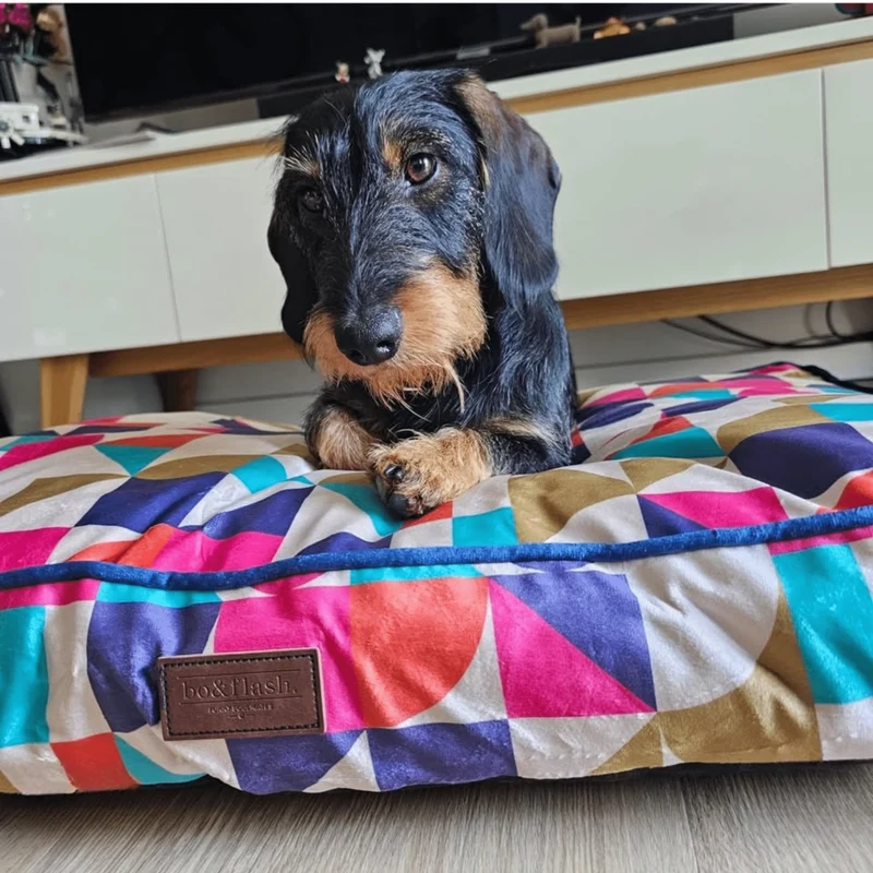 Hundekissen Madison "Michaela"