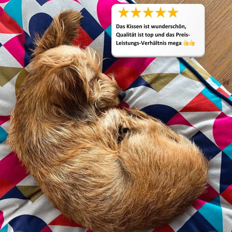 Hundekissen Madison "Michaela"