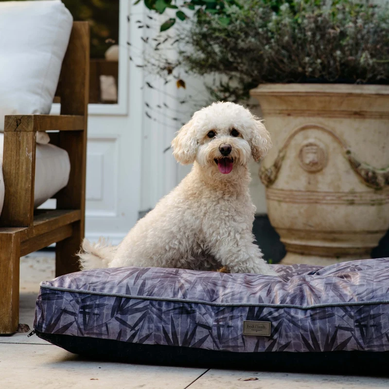 Hundekissen Madison "Ilse"