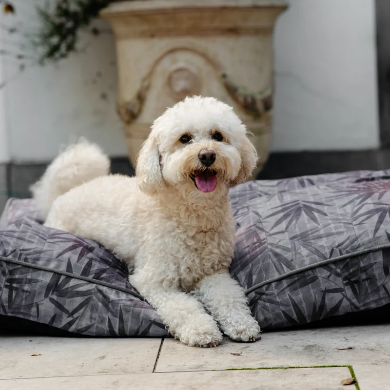 Hundekissen Madison "Ilse"