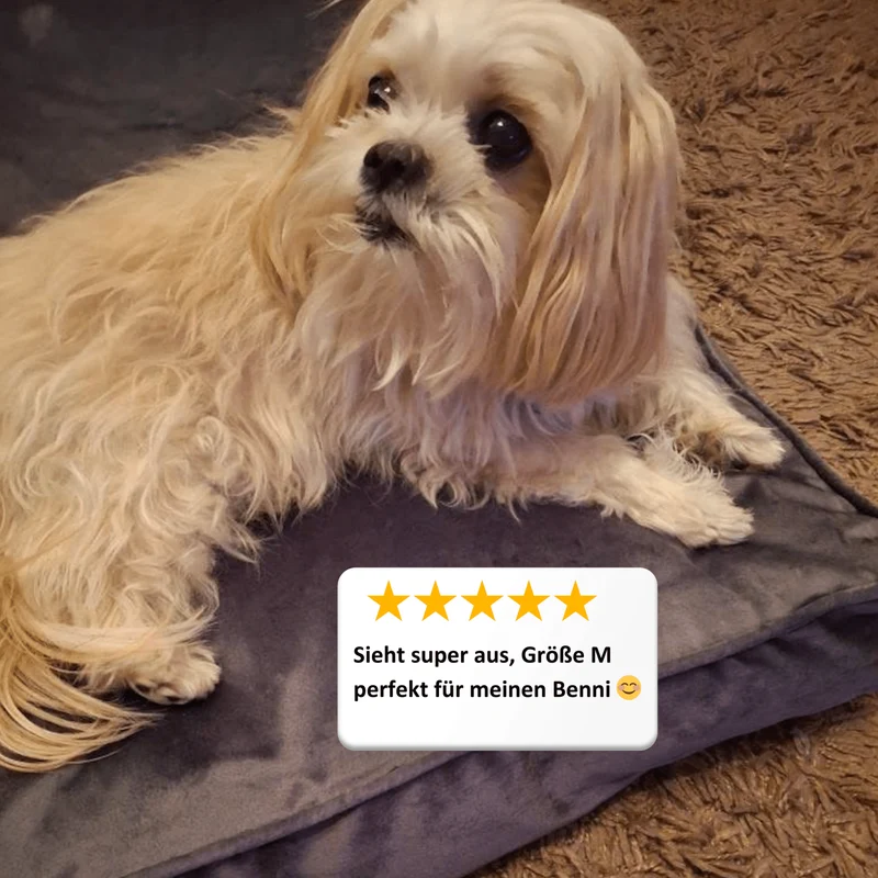 Hundekissen Madison "Ilse"