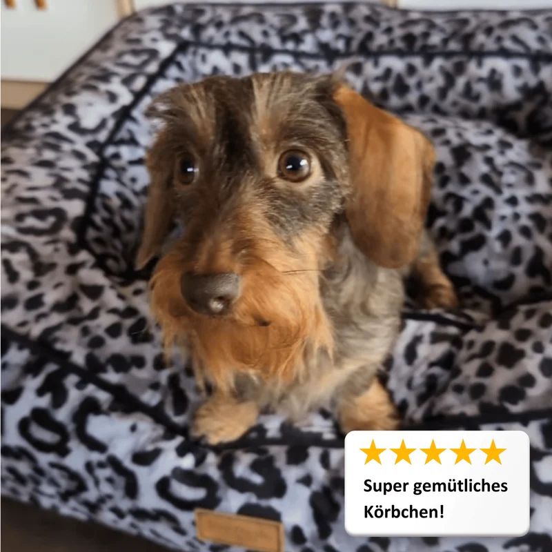 Hundebett Boise "Claudelle"