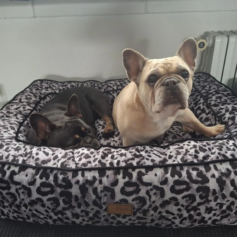 Hundebett Boise "Claudelle"