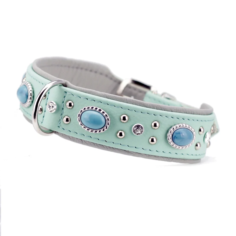 Hundehalsband Amici - individuelle Farbgestaltung
